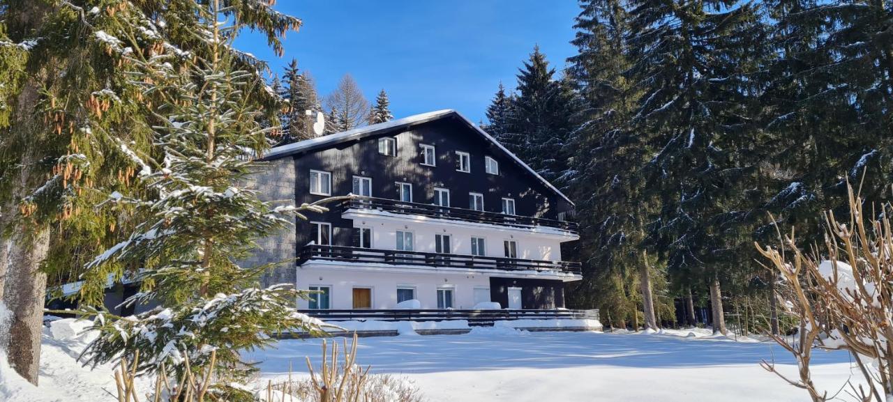 Apartman Mumlava Harrachov Exterior photo